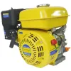 Electric Motors 