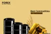 Best commodities: Understand the market of volatility for profits in 2021