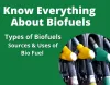 Know Everything About Biofuels, Types of Biofuels, Sources and Uses of Green Fuel Energy - skylitbiofuel