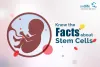 Top 5 Facts To Know About Stem Cells