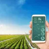  IoT Smart Farming Solutions: Future of Agriculture Sector