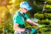 tree care