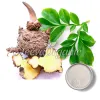 konjac powder, konjac products, konjac extract powder, konjac powder bulk, konjac powder uses, konjac powder benefits