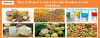 Get a Closer Look Into the Kosher Food Industry – Kosher Certification Services