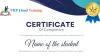 Workday Certification: Gain the Skills You Need to Advance Your Career