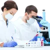 Rapid Laboratory