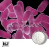 Lactobacillus Acidophilus Powder, Bulk Lactobacillus Acidophilus, Lactobacillus Acidophilus Powder Supplier