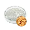 lactobacillus plantarum powder, lactobacillus plantarum, lactobacillus powder