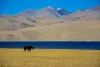 ladakh package tour from kolkata