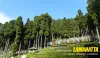 lamahatta package tour