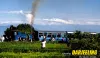 lamahatta tour homestays