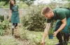 Should You Consider Landscaping Services in Edmonton?