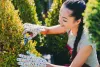 Features of Hiring Landscaping Services in Edmonton
