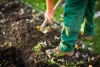 Why Perfect Landscape Architect in Toronto is Important?