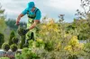 Landscape Designs Toronto