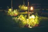 Do you want to add a touch of luxury to your property with landscape lighting in Burnaby?