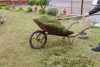 Get an enhanced curb appeal with landscape maintenance in Burnaby