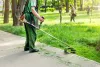 Hire professional landscapers for your landscape maintenance in Burnaby