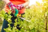 Is Landscaping Services in Markham Worthwhile?