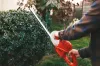 Landscape Services in Vancouver: Pros and Cons 2023