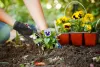 Design a Low-Maintenance Landscape in Burnaby