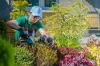Simple Guidance For Landscaping In Burnaby