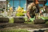 Looking Feasible Solutions for Landscaping in Vancouver?