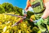 Things That Make You Love Landscaping Services in Toronto