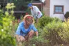 Work with an Expert for best Landscaping Services in Markham