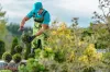 Get the Best Solutions by Hiring Landscape Architects in Toronto