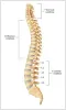IS CHIROPRACTIC RIGHT FOR YOU