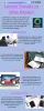 Web Design Bern