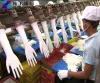Latex Glove Making Machine Price | Latex Gloves Production Line
