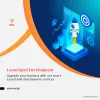 Launchpad Development Services | Whitelabel Launchpad Development Company | Codezeros