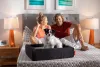 Should Your Dog Sleep in Your Bed? | Layla Sleep