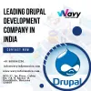 Top 10 Drupal Development Companies in India