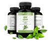Weight Loss Supplement
