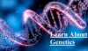 Online Assignment Helper: What students in Biotechnology learn about Genetics?