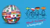 Mastery over the Frustration of Language Learning - 1 Point Solutions