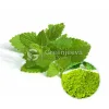 lemon balm powder, lemon balm extract powder, lemon balm benefits, lemon balm uses, lemon balm powder benefits, lemon balm powder for weight loss