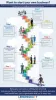 Starting a New Business - Infographic | LENDINGKART 