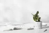 Services &mdash; Elcin Aesthetics