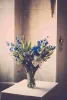 Lily flowers: Ultimate guide to grow &amp; style various types (Buy now!) | Building and Interiors