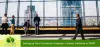 Limited Or Umbrella Company, PAYE | Choosing Contractor Company