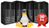 Buy Linux Web Hosting in India @ Affordable Price | Intouch