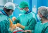 Deceased Donor Liver Transplant in Delhi