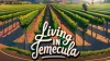 Living In Temecula - .