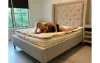 Sleep Disruptors And How To Deal With Them - Adriana Albritton