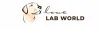 Bathing Your Labrador in the Right Way - Ultimate Guide - Love Lab World