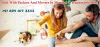Packers and Movers Mumbai